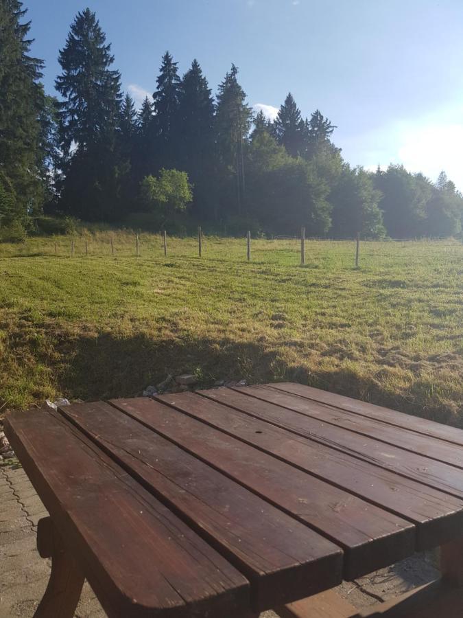 Im Wald * Rosshaupten