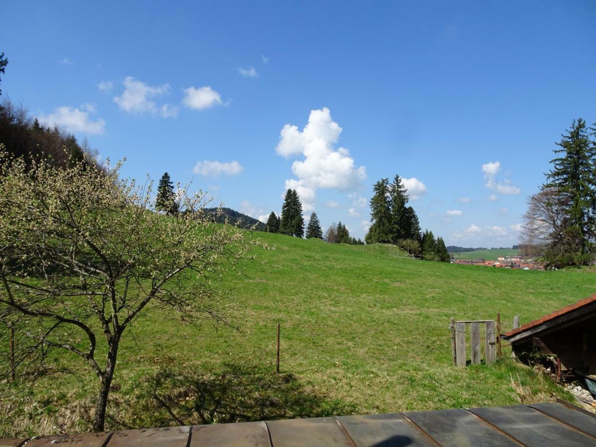 Apartment Im Wald