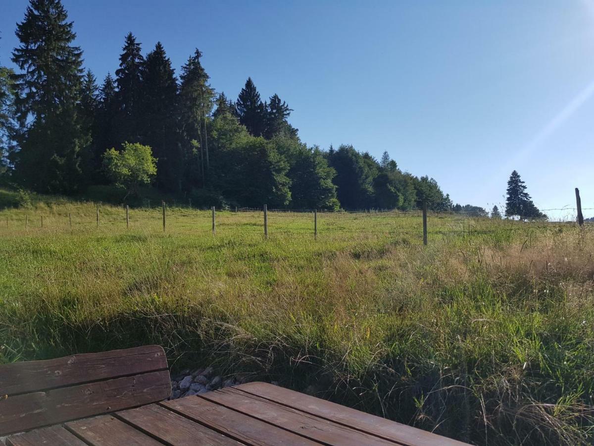 Im Wald * Rosshaupten