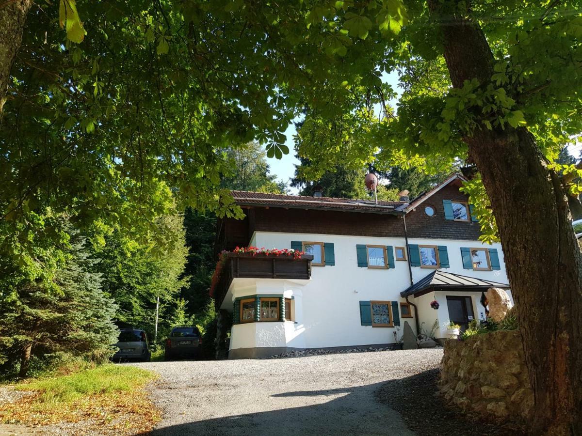 Im Wald * Rosshaupten